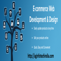 Best Website Development Company in Bareilly  AG Infotech India